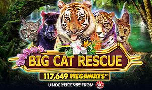 Imagem do jogo Big Cat Rescue Megaways no 80bet